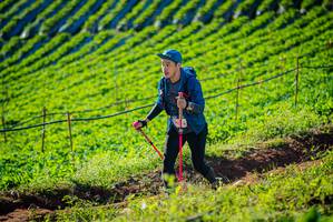 BIB: 
                            <button type="button" onclick="openModal(19160396)" class="btn btn-primary btn-sm float-right btn-popup" data-toggle="modal" data-target=".modal-high-quality">
                        <i class="fas fa-shopping-cart"></i> Add to Cart
                    </button>
                                            <button type="button" onclick="isThisMe(19160396, true)" class="btn btn-success btn-sm float-right btn-popup btn-isme hidden" data-toggle="tooltip" data-placement="bottom" title="นี่คือรูปของคุณใช่ไหม คลิกที่นี่เพื่อเอาเข้าอัลบั้ม">
                        <i class="fas fa-plus"></i> Add to album
                    </button>
                    <button type="button" onclick="isThisMe(19160396, false)" class="btn btn-warning btn-sm float-right btn-popup btn-isnotme hidden">
                        <i class="fas fa-ban"></i> Remove from album
                    </button>